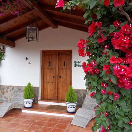 Bed & Breakfast | Guest House Casa Don Carlos Alhaurín el Grande Exteriör bild