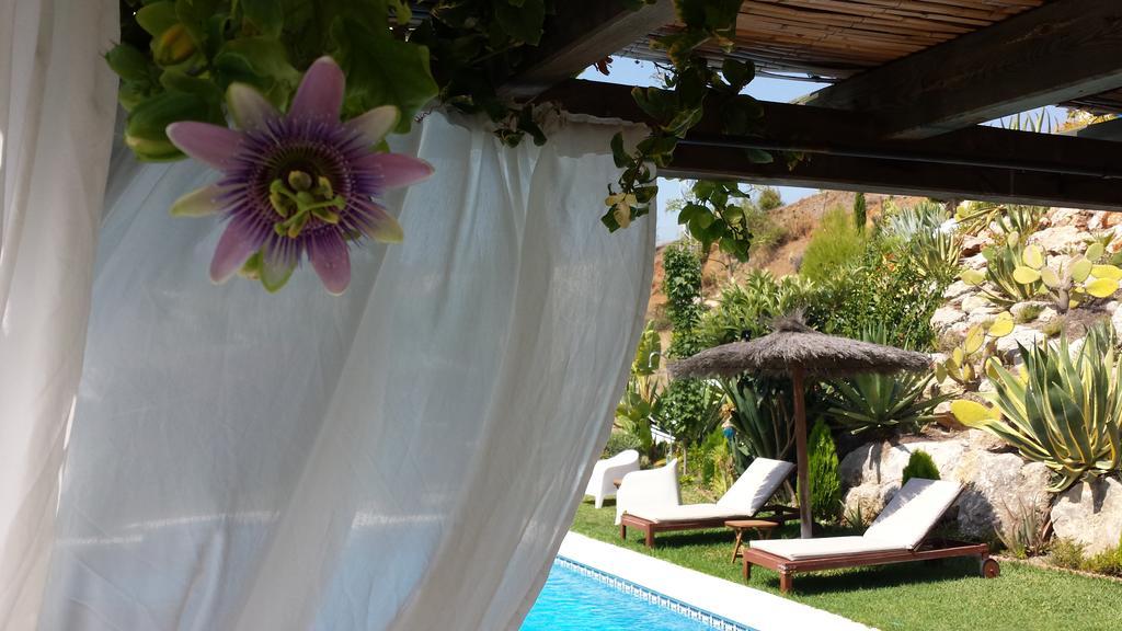 Bed & Breakfast | Guest House Casa Don Carlos Alhaurín el Grande Exteriör bild