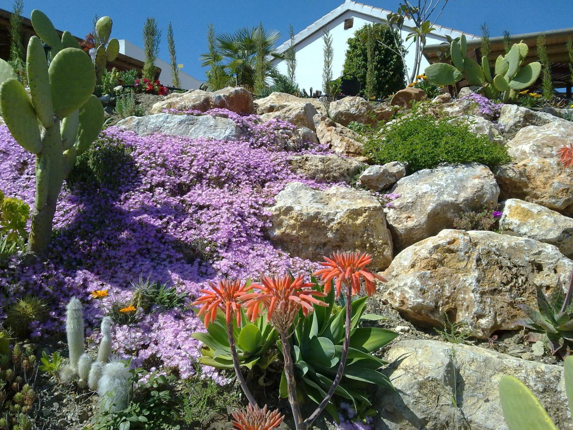 Bed & Breakfast | Guest House Casa Don Carlos Alhaurín el Grande Exteriör bild