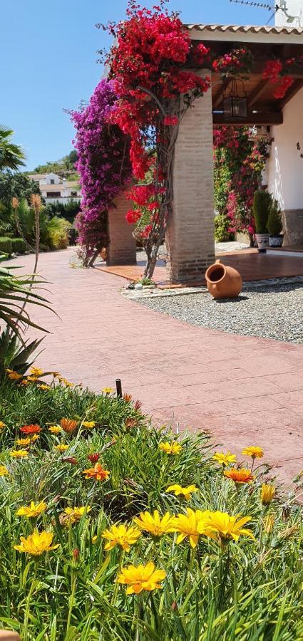 Bed & Breakfast | Guest House Casa Don Carlos Alhaurín el Grande Exteriör bild